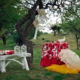 Propuestas, detalles y colores